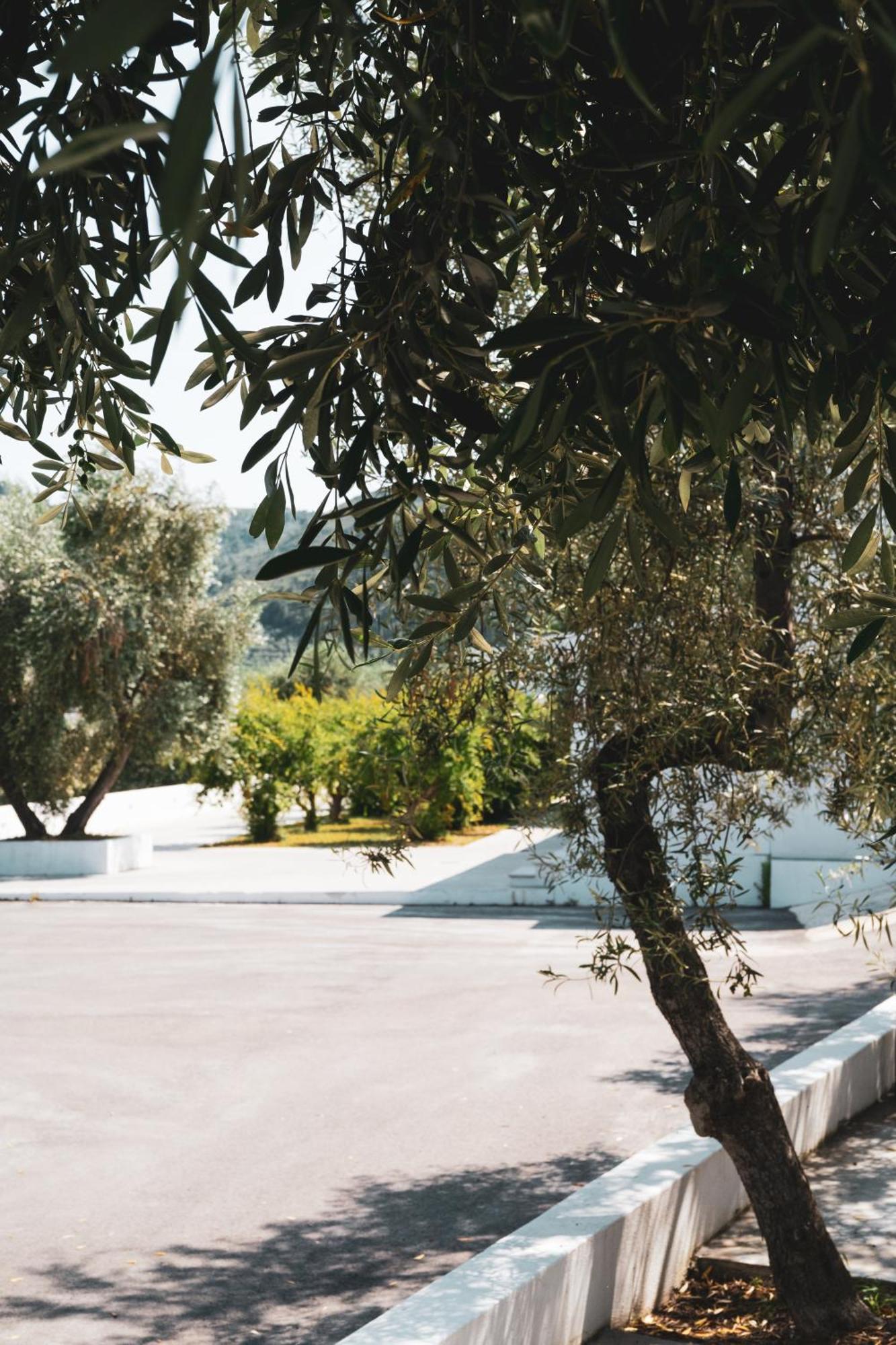 Agriturismo Giorgio Mattinata Eksteriør billede