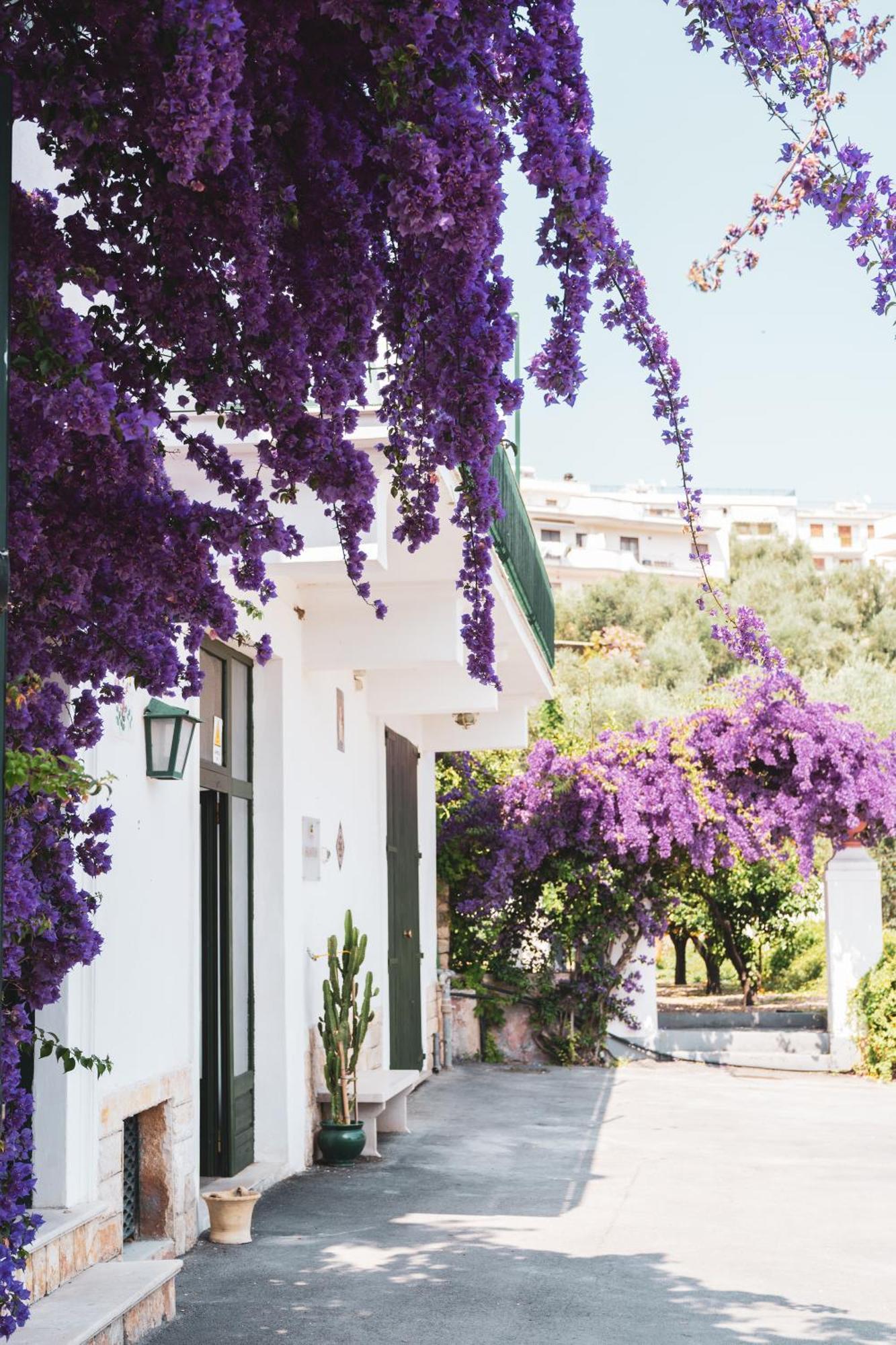 Agriturismo Giorgio Mattinata Eksteriør billede