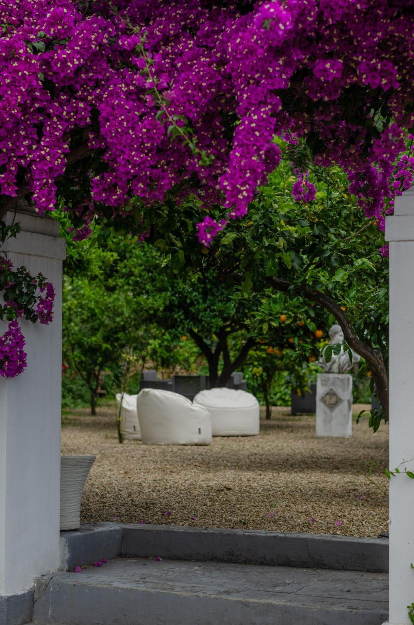 Agriturismo Giorgio Mattinata Eksteriør billede